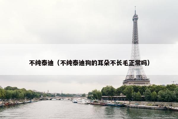 不纯泰迪（不纯泰迪狗的耳朵不长毛正常吗）