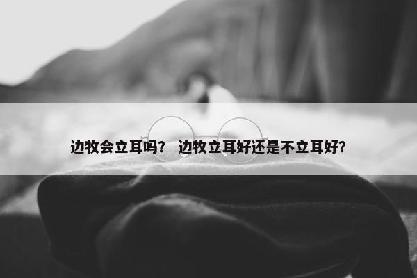 边牧会立耳吗？ 边牧立耳好还是不立耳好？