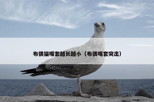 布偶猫嘴套越长越小（布偶嘴套突出）