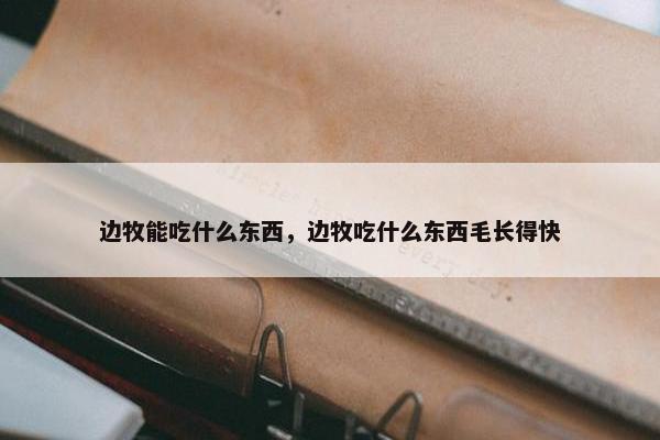 边牧能吃什么东西，边牧吃什么东西毛长得快