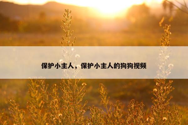 保护小主人，保护小主人的狗狗视频