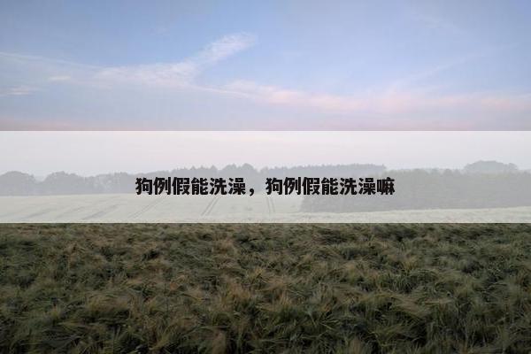 狗例假能洗澡，狗例假能洗澡嘛