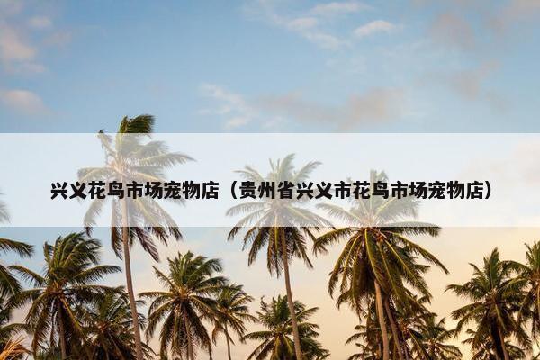 兴义花鸟市场宠物店（贵州省兴义市花鸟市场宠物店）