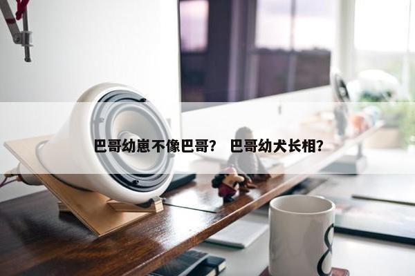 巴哥幼崽不像巴哥？ 巴哥幼犬长相？