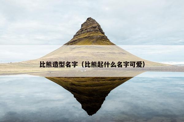 比熊造型名字（比熊起什么名字可爱）