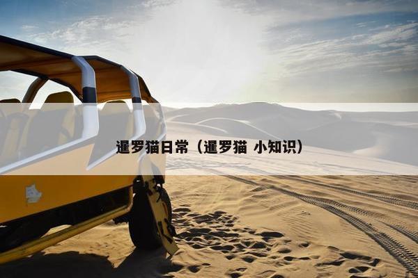 暹罗猫日常（暹罗猫 小知识）