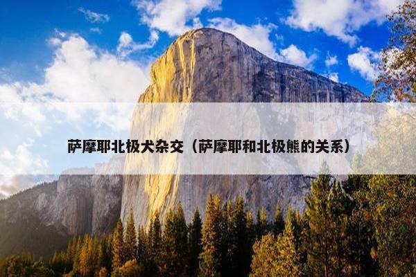 萨摩耶北极犬杂交（萨摩耶和北极熊的关系）