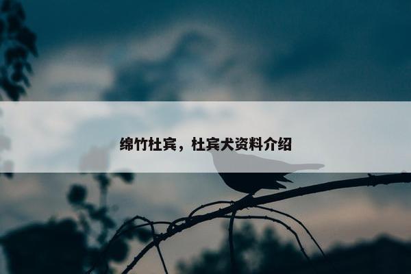 绵竹杜宾，杜宾犬资料介绍