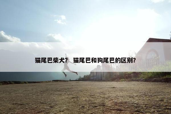 猫尾巴柴犬？ 猫尾巴和狗尾巴的区别？