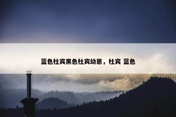 蓝色杜宾黑色杜宾幼崽，杜宾 蓝色