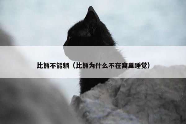 比熊不能躺（比熊为什么不在窝里睡觉）
