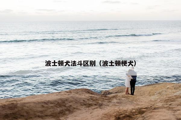 波士顿犬法斗区别（波土顿梗犬）