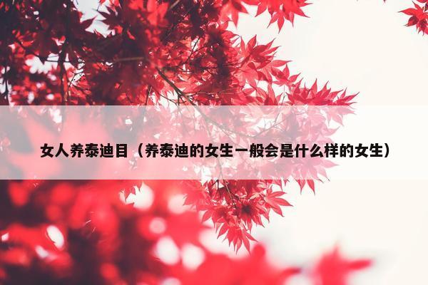 女人养泰迪目（养泰迪的女生一般会是什么样的女生）