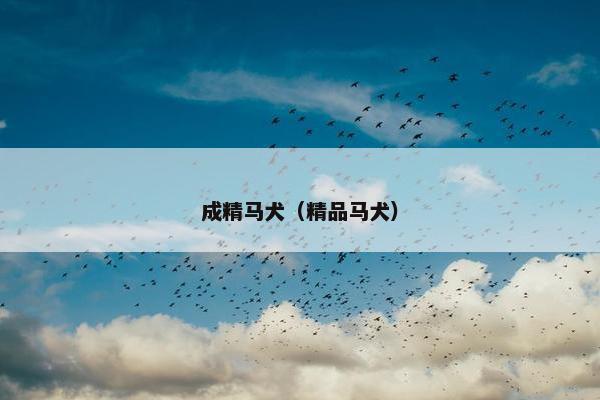 成精马犬（精品马犬）