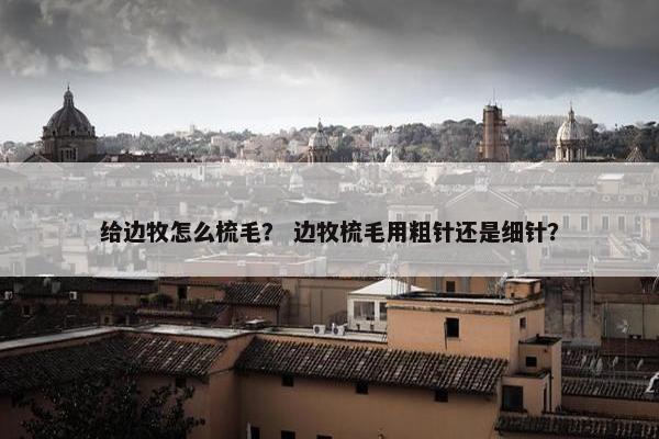给边牧怎么梳毛？ 边牧梳毛用粗针还是细针？