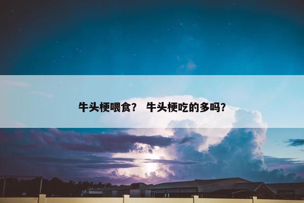 牛头梗喂食？ 牛头梗吃的多吗？