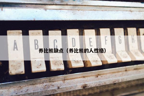 养比熊缺点（养比熊的人性格）
