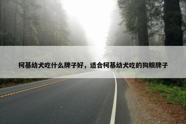 柯基幼犬吃什么牌子好，适合柯基幼犬吃的狗粮牌子
