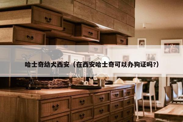 哈士奇幼犬西安（在西安哈士奇可以办狗证吗?）
