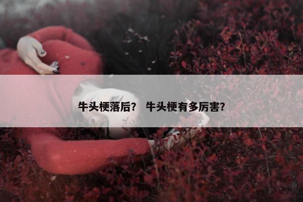 牛头梗落后？ 牛头梗有多厉害？