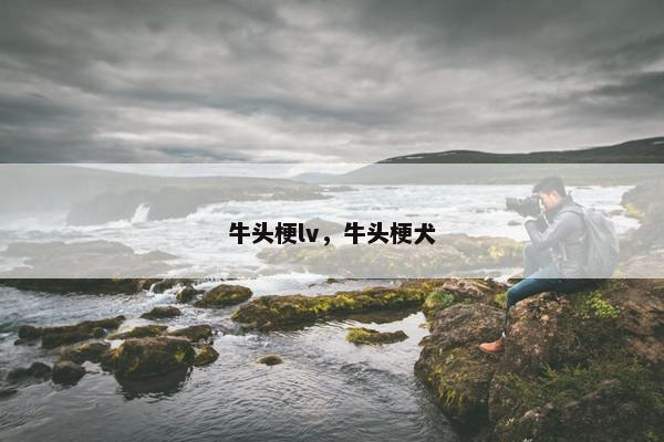 牛头梗lv，牛头梗犬