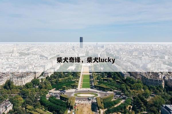 柴犬奇缘，柴犬lucky