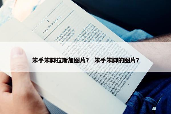 笨手笨脚拉斯加图片？ 笨手笨脚的图片？