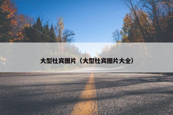 大型杜宾图片（大型杜宾图片大全）