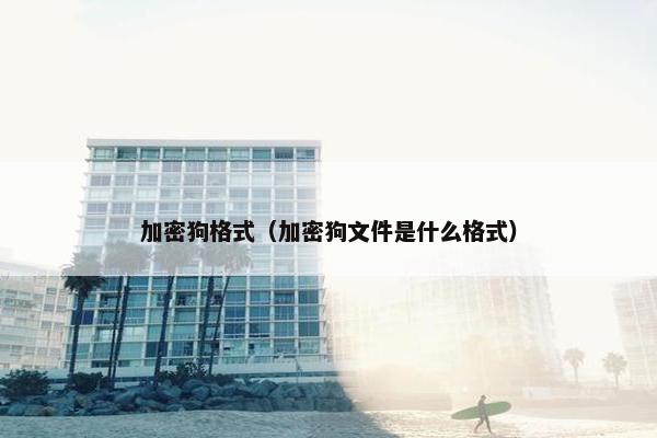 加密狗格式（加密狗文件是什么格式）