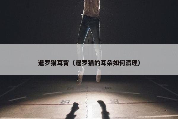 暹罗猫耳背（暹罗猫的耳朵如何清理）