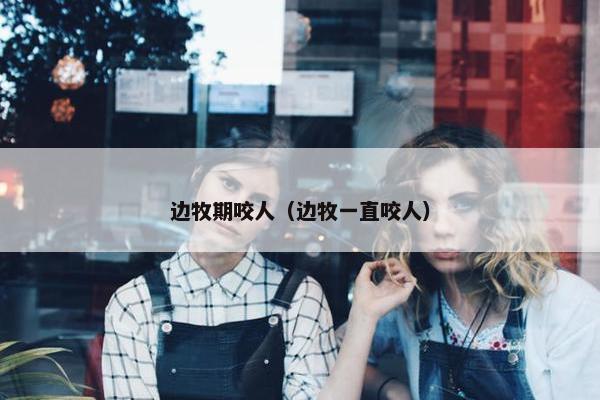 边牧期咬人（边牧一直咬人）
