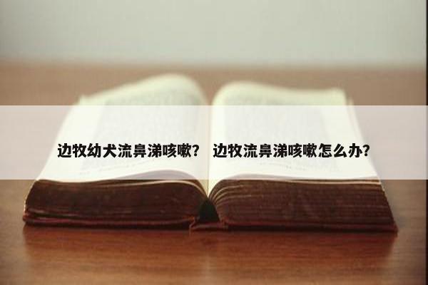 边牧幼犬流鼻涕咳嗽？ 边牧流鼻涕咳嗽怎么办？