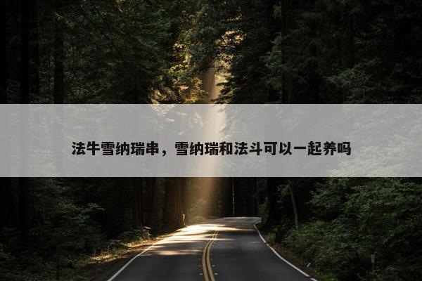 法牛雪纳瑞串，雪纳瑞和法斗可以一起养吗