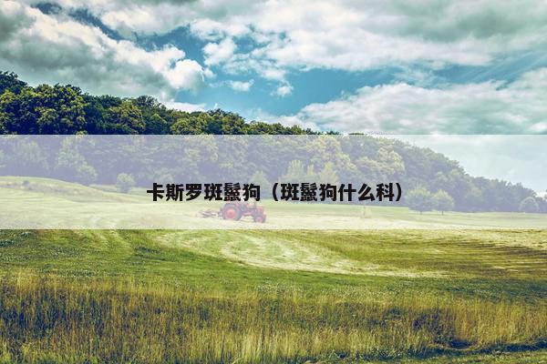 卡斯罗斑鬣狗（斑鬣狗什么科）
