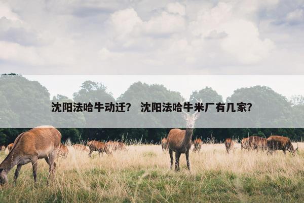 沈阳法哈牛动迁？ 沈阳法哈牛米厂有几家？