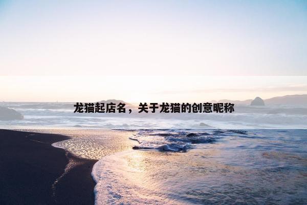 龙猫起店名，关于龙猫的创意昵称