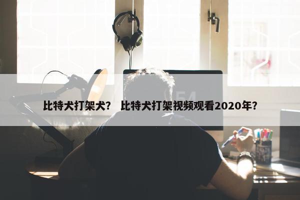 比特犬打架犬？ 比特犬打架视频观看2020年？