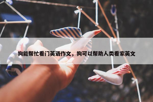 狗能帮忙看门英语作文，狗可以帮助人类看家英文