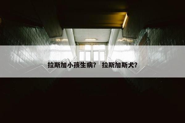 拉斯加小孩生病？ 拉斯加斯犬？