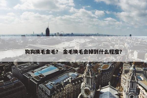 狗狗换毛金毛？ 金毛换毛会掉到什么程度？
