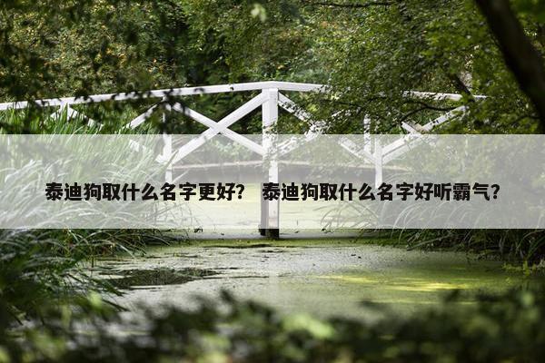 泰迪狗取什么名字更好？ 泰迪狗取什么名字好听霸气？