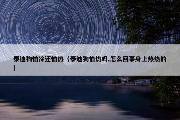 泰迪狗怕冷还怕热（泰迪狗怕热吗,怎么回事身上热热的）