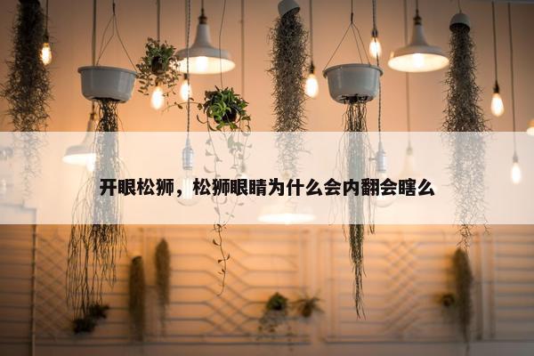 开眼松狮，松狮眼睛为什么会内翻会瞎么