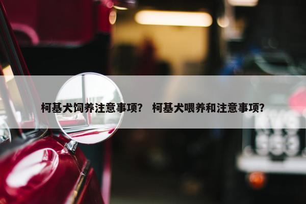 柯基犬饲养注意事项？ 柯基犬喂养和注意事项？