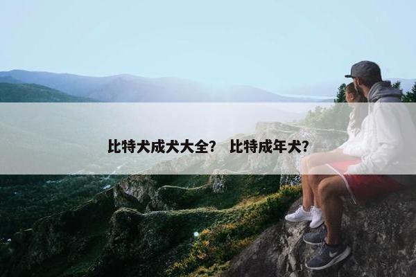 比特犬成犬大全？ 比特成年犬？