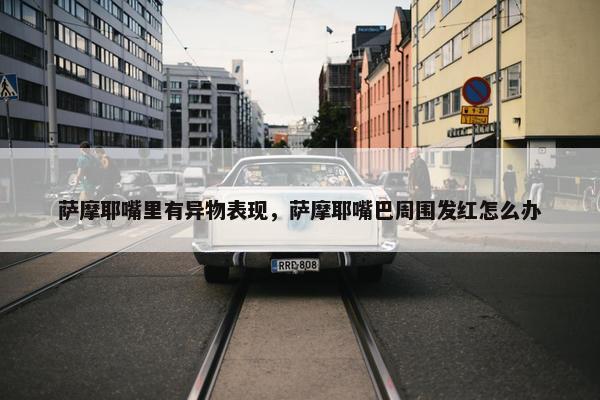 萨摩耶嘴里有异物表现，萨摩耶嘴巴周围发红怎么办