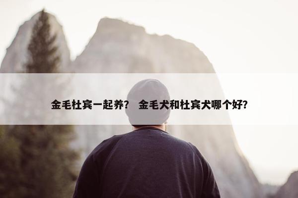 金毛杜宾一起养？ 金毛犬和杜宾犬哪个好？