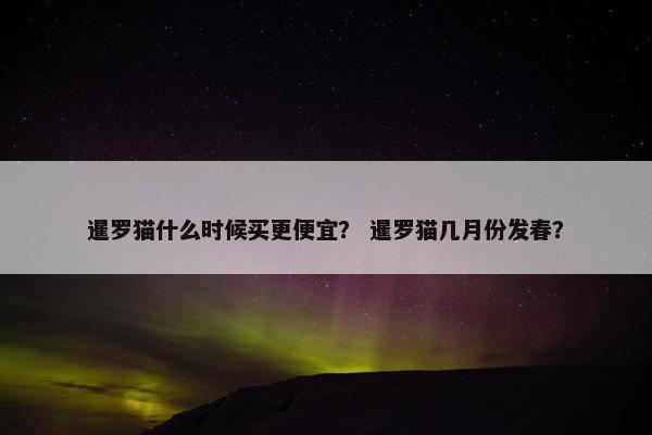 暹罗猫什么时候买更便宜？ 暹罗猫几月份发春？