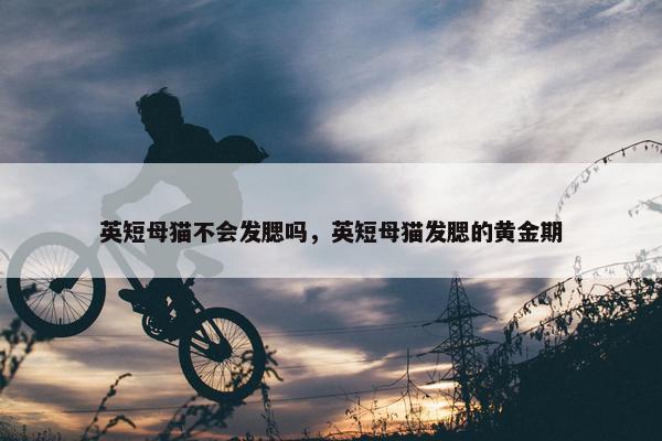 英短母猫不会发腮吗，英短母猫发腮的黄金期