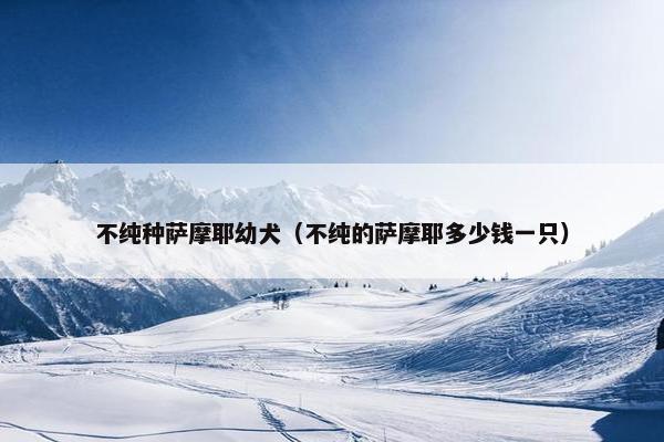 不纯种萨摩耶幼犬（不纯的萨摩耶多少钱一只）
